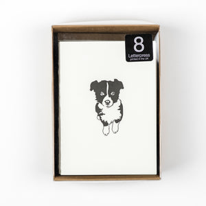 Box of Little Notes  - Country Puppies