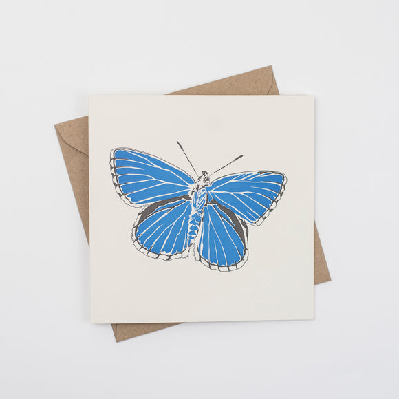 Luxury Wild Card - Butterfly